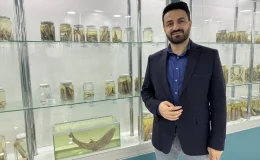 Dicle Nehri’nde “leopar sazanı” tespit edildi