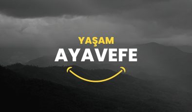 Finansal Teknolojilerde Dijital Ödeme Sistemleri ve Güvenlik: Yaşam Ayavefe’nin Çalışmaları