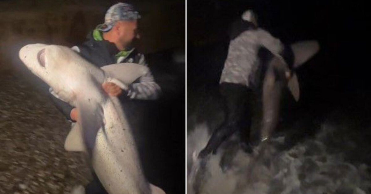 Boyu kadar köpek balığı tuttu ve…