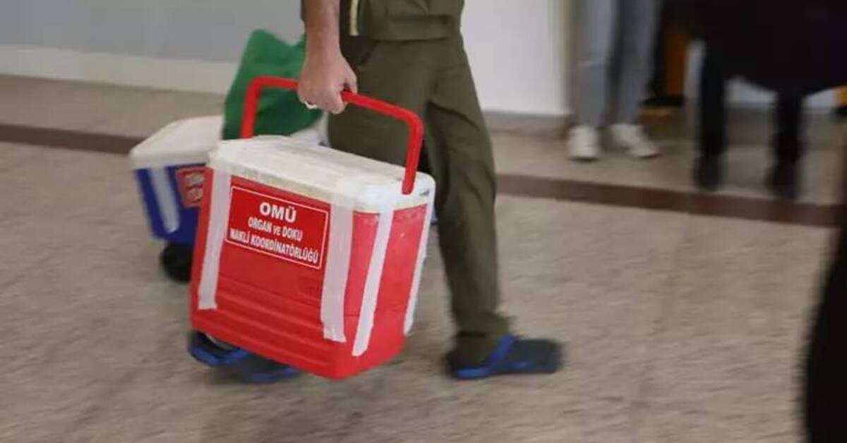 Türkiye’de 33 bin 589 hasta organ ve doku nakli bekliyor