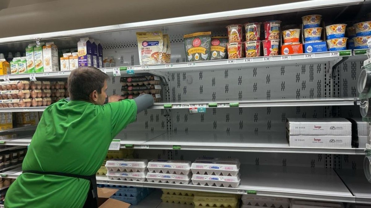 ABD’de yaşanan kuş gribi krizi yumurta fiyatlarını vurdu