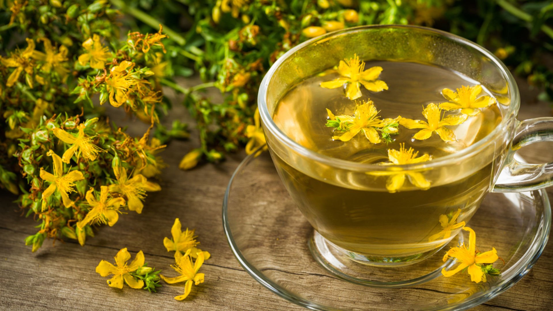 Kantaron çayının faydaları nelerdir?