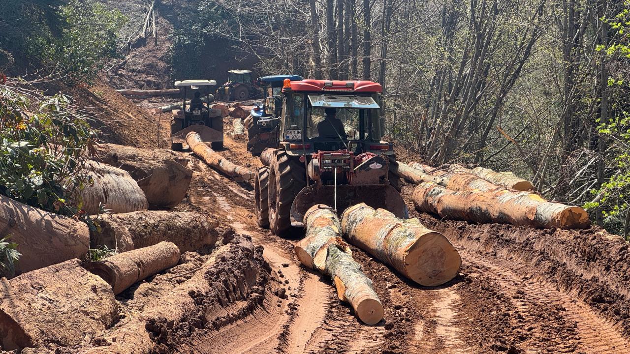 Orman işçileri dağ tepe demeden görev başında